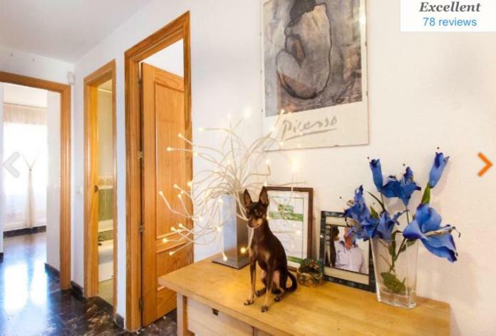 Penthouse With Private Roof Terrace And Jacuzzi Lejlighed Fuengirola Eksteriør billede